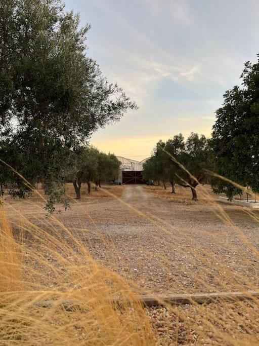 Quinta Da Alfarrobeira Peaceful Countryside Stay Фару Екстер'єр фото
