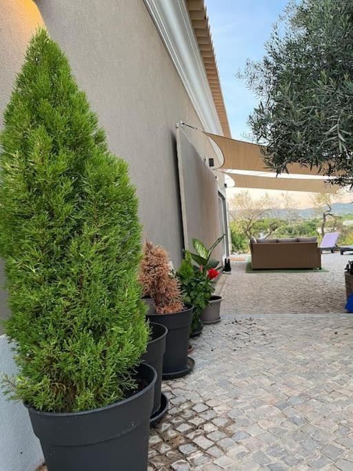 Quinta Da Alfarrobeira Peaceful Countryside Stay Фару Екстер'єр фото