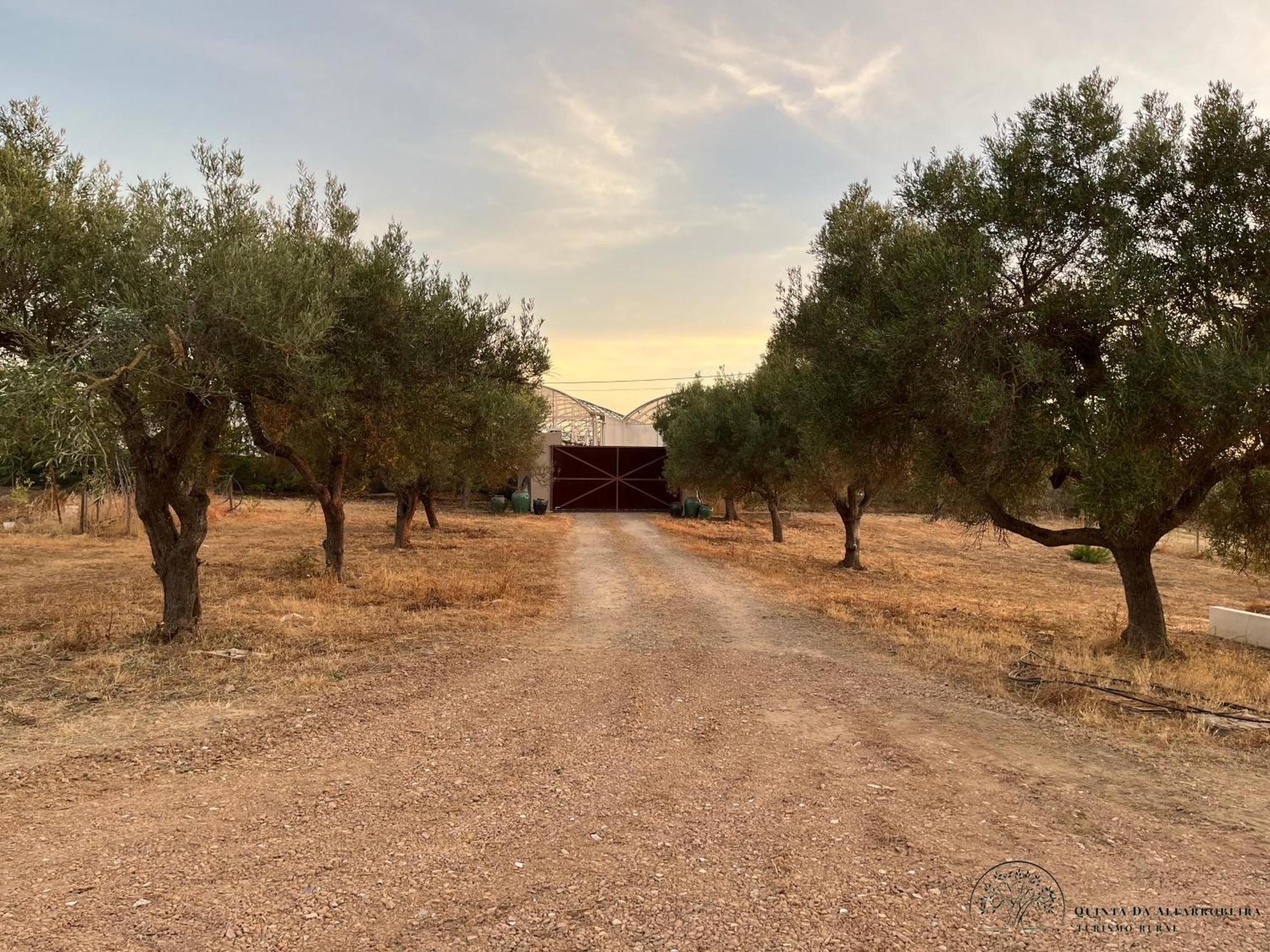 Quinta Da Alfarrobeira Peaceful Countryside Stay Фару Екстер'єр фото